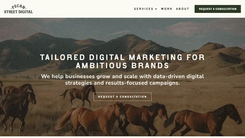 Pecan Street Digital home page, an Austin digital marketing agency