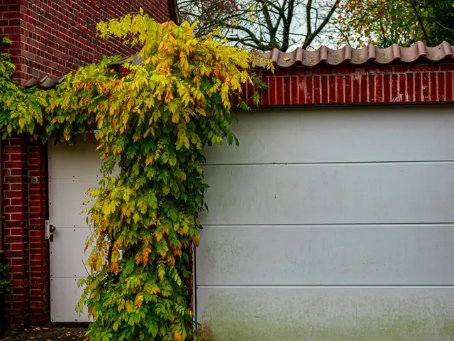 Garage Doors website template, Overhead Ironworks