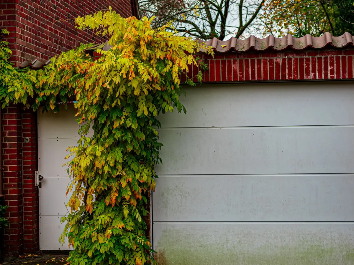 A white sectional garage door on a residential house