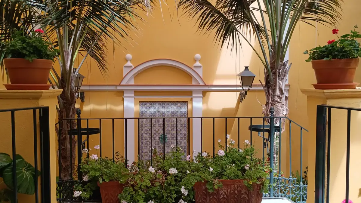 The same yard after construction — planted terrace and patio