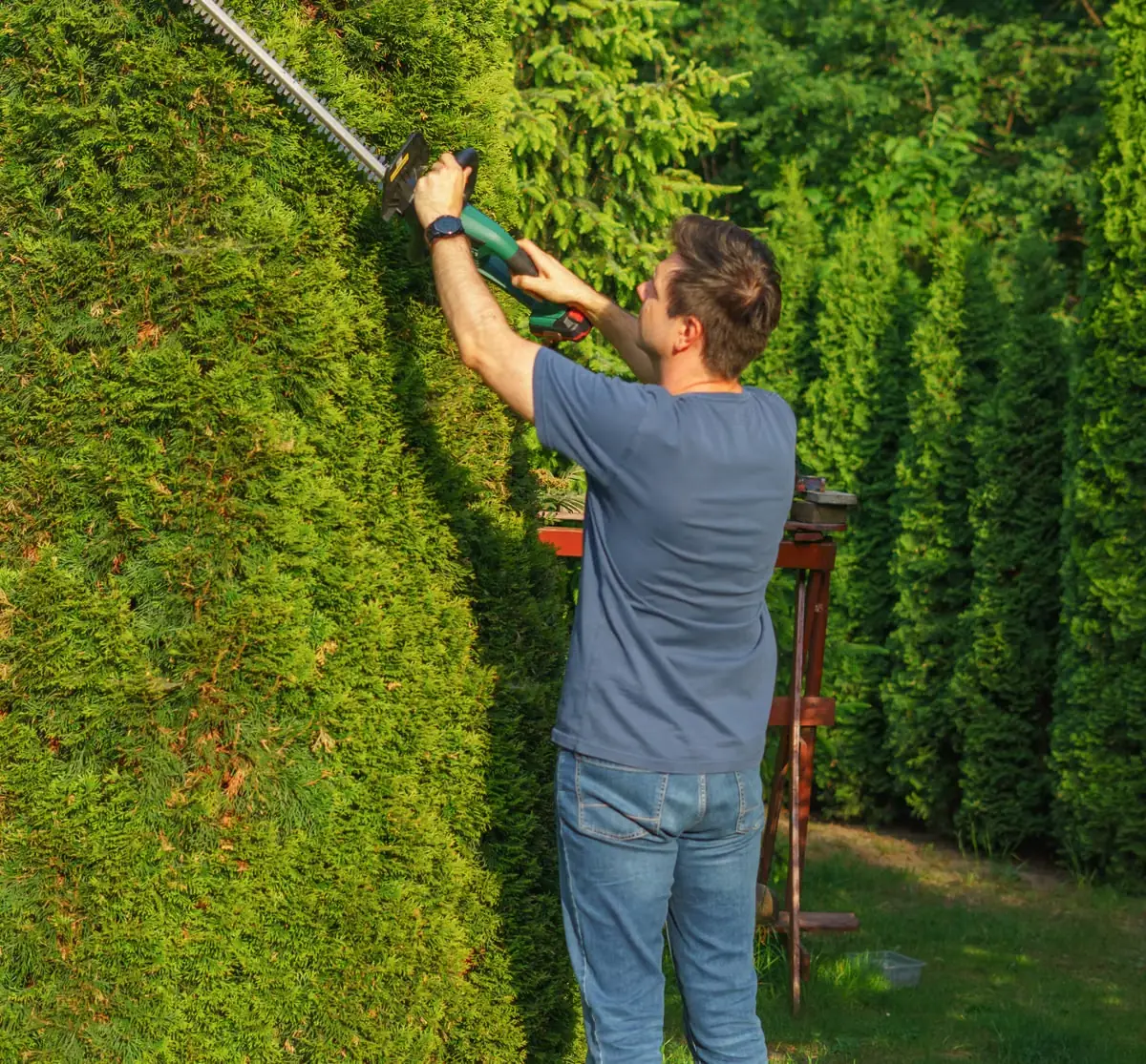 A Stonefield landscaper shaping a hedge on site