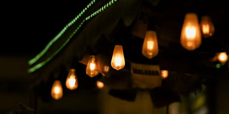 Lighting & Irrigation Systems