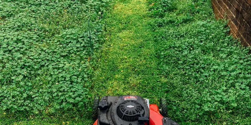 Estate Maintenance Programs