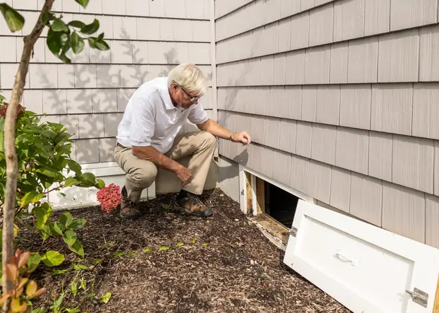 Pest Control website template, Sentry Pest Solutions